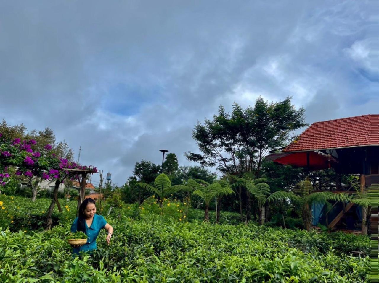 הוילה באו לוק Tea Garden House מראה חיצוני תמונה