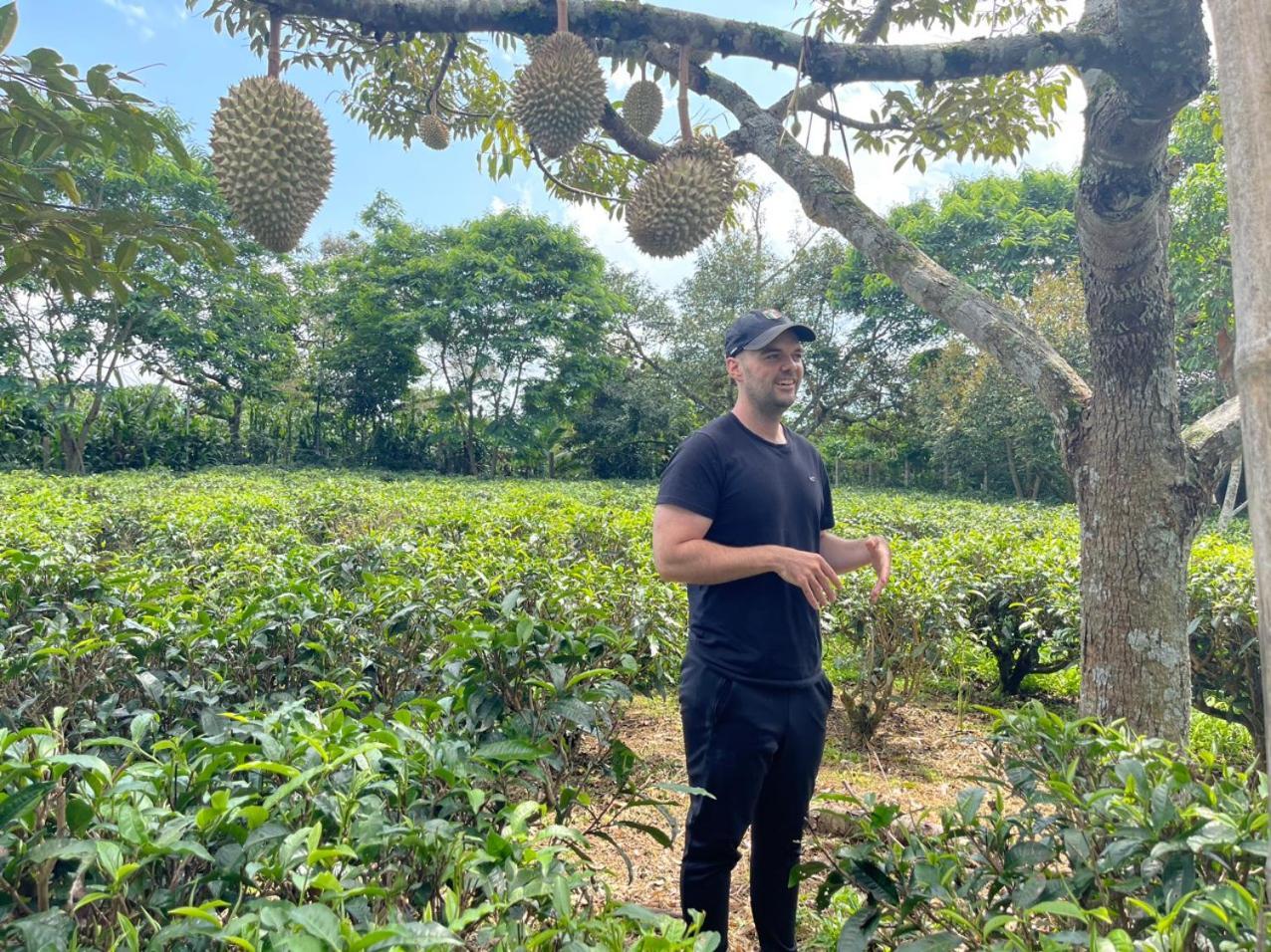 הוילה באו לוק Tea Garden House מראה חיצוני תמונה