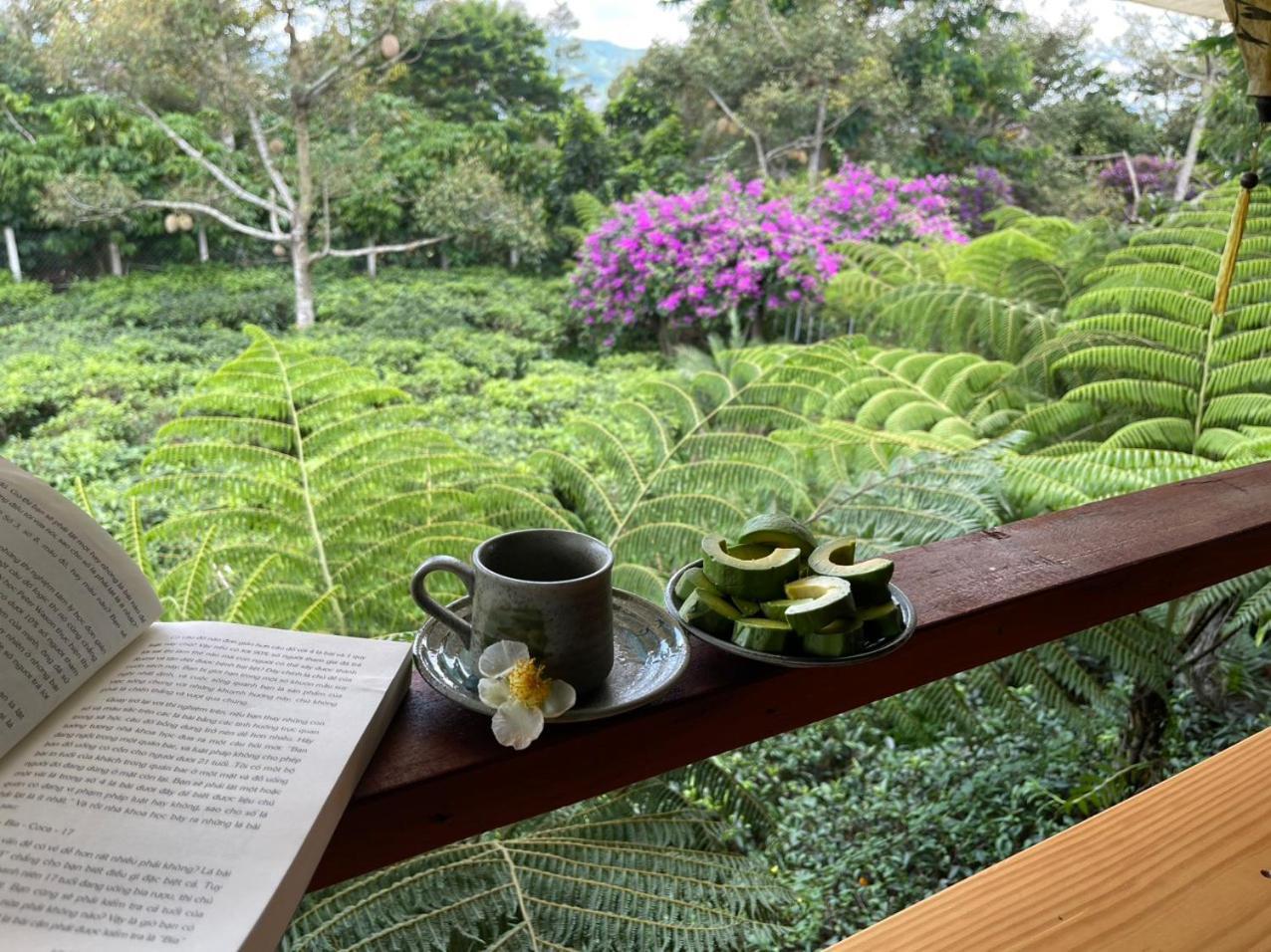 הוילה באו לוק Tea Garden House מראה חיצוני תמונה
