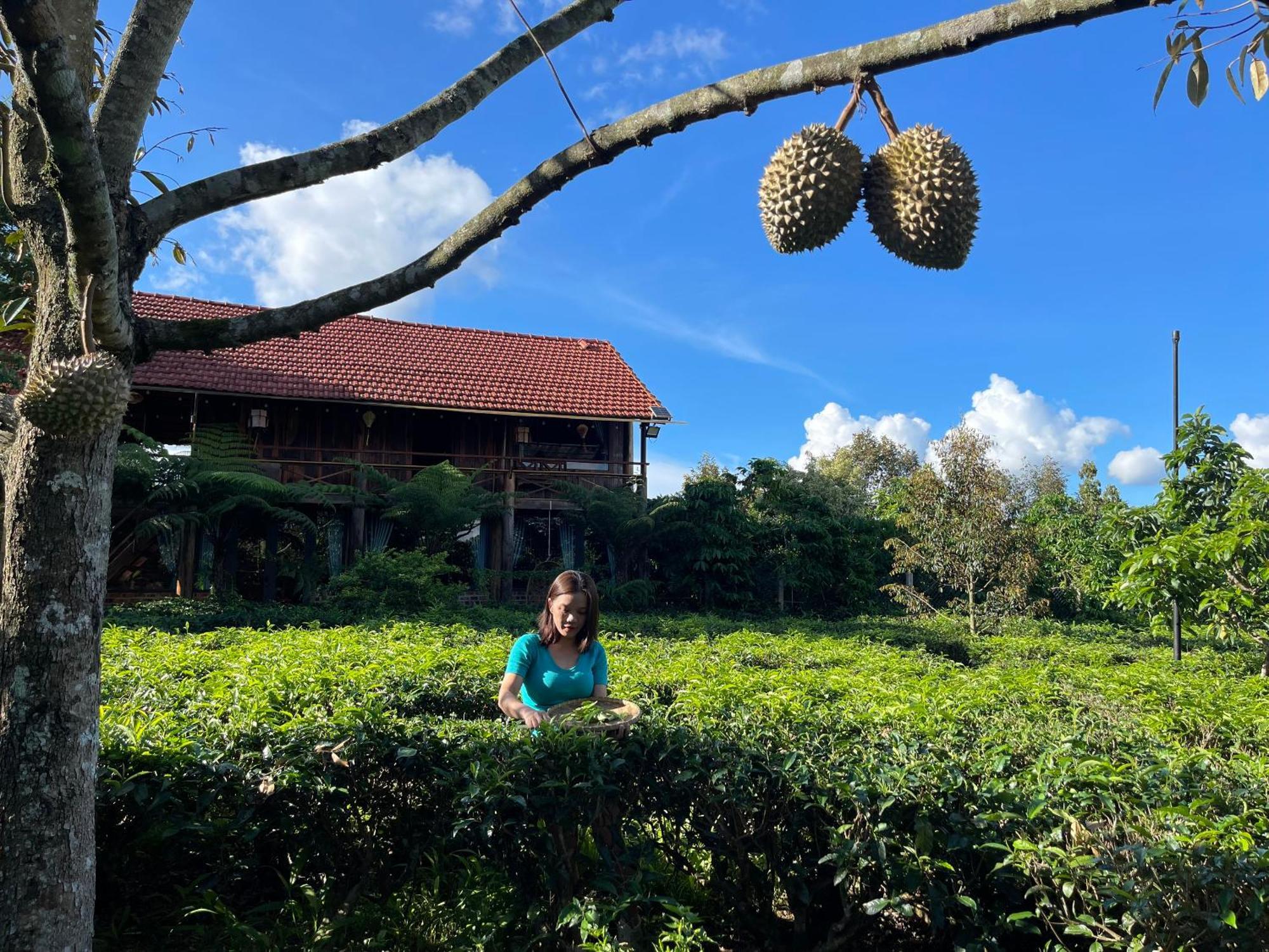הוילה באו לוק Tea Garden House מראה חיצוני תמונה