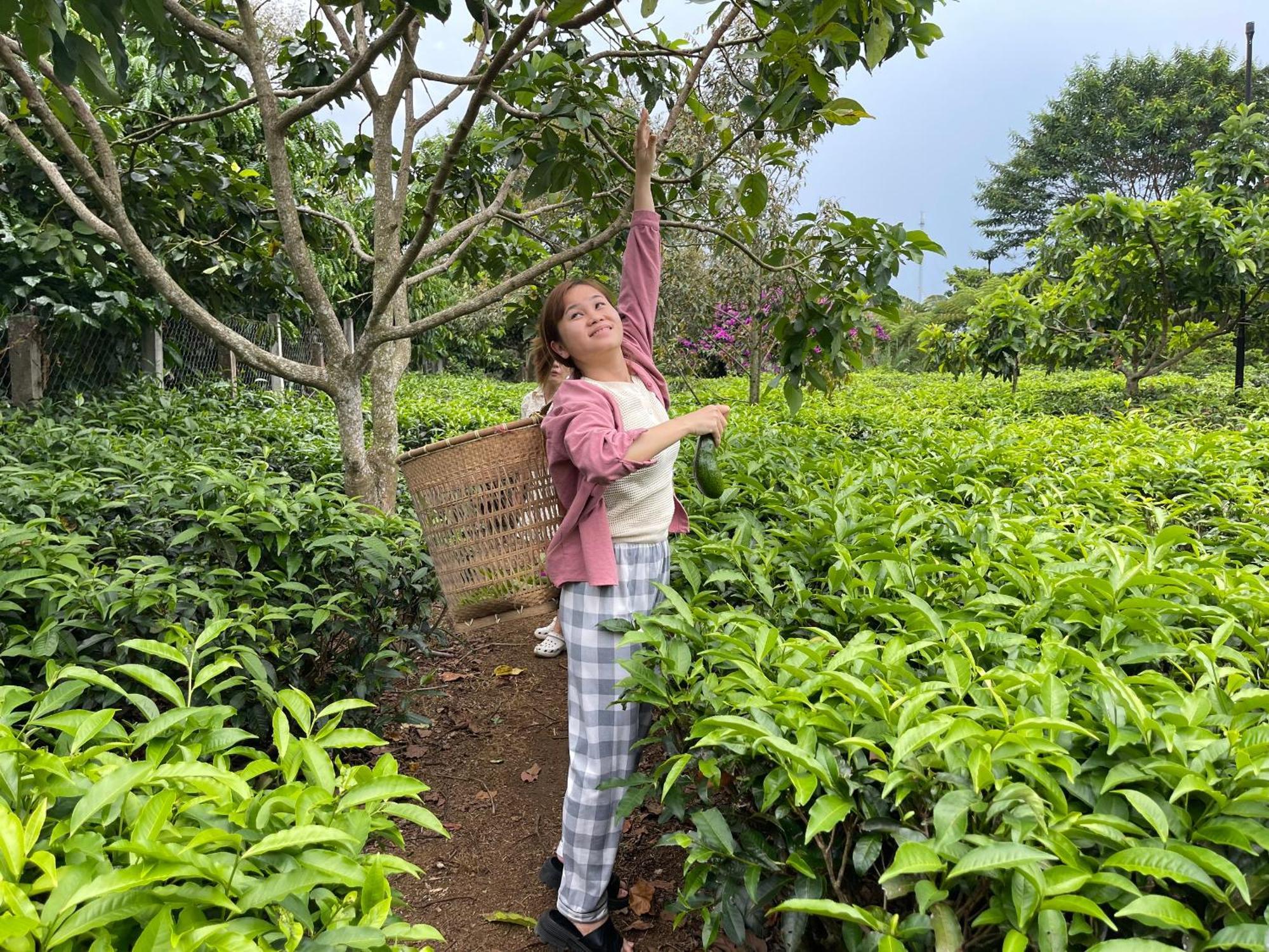 הוילה באו לוק Tea Garden House מראה חיצוני תמונה