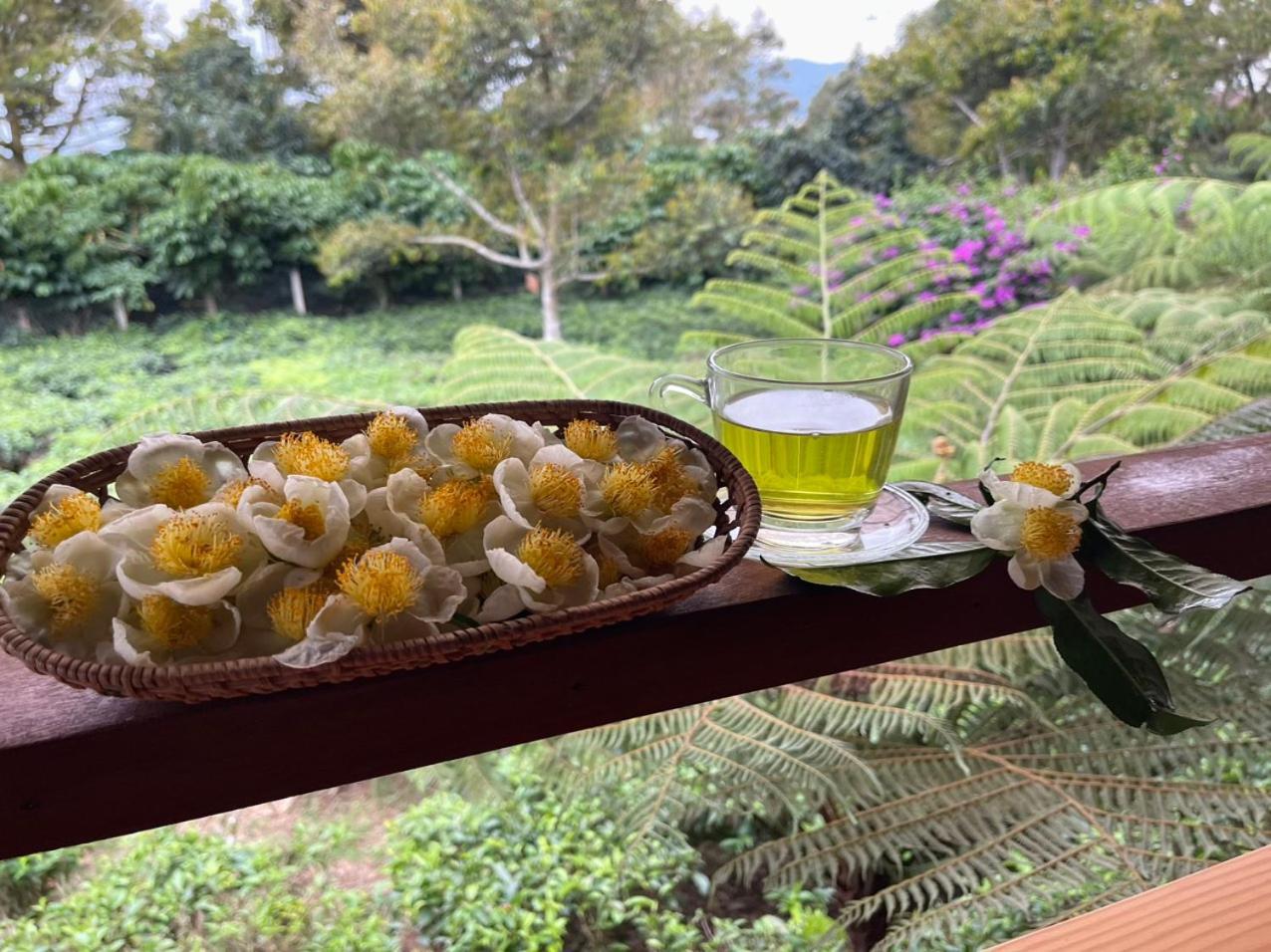הוילה באו לוק Tea Garden House מראה חיצוני תמונה