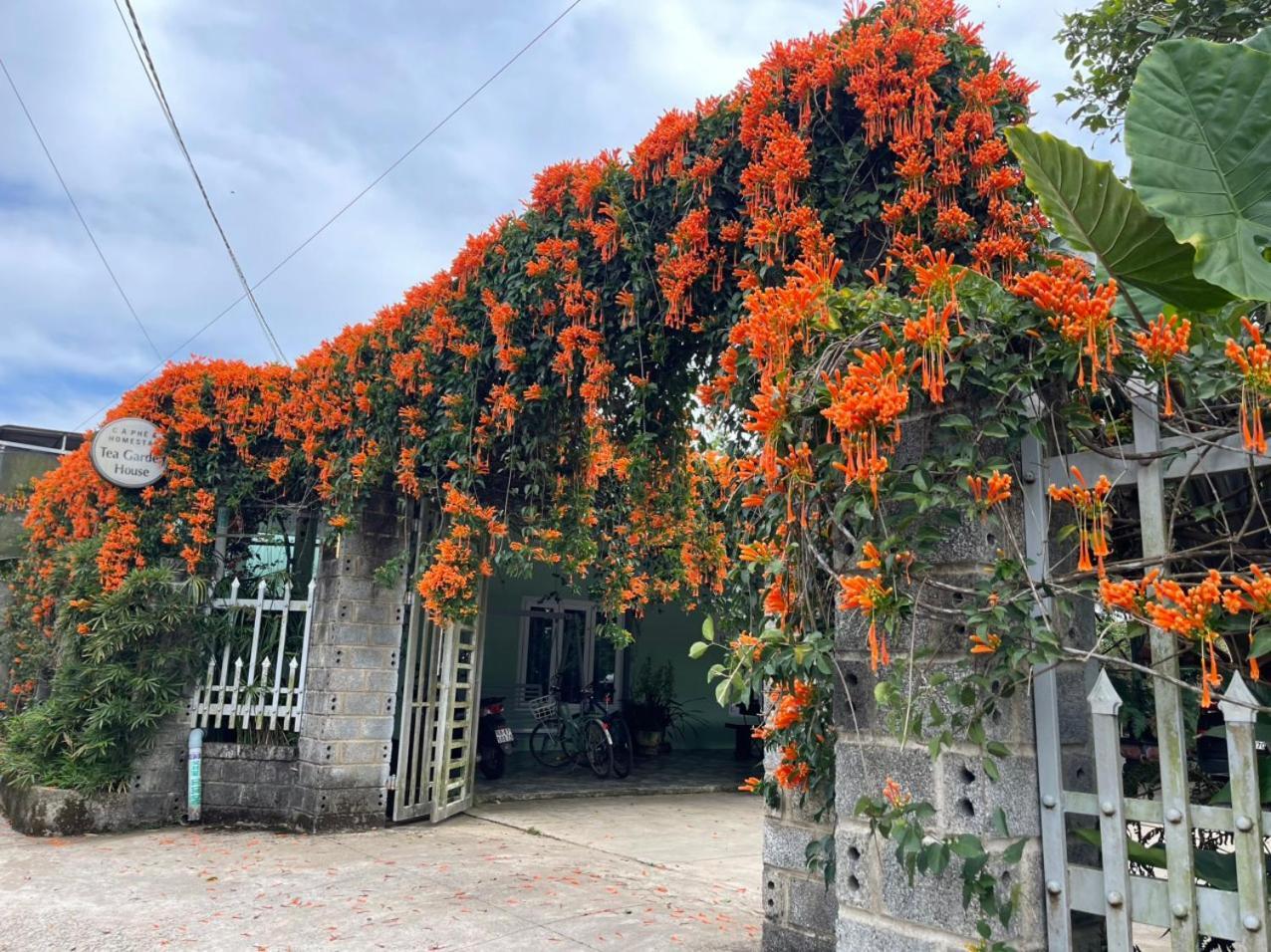 הוילה באו לוק Tea Garden House מראה חיצוני תמונה