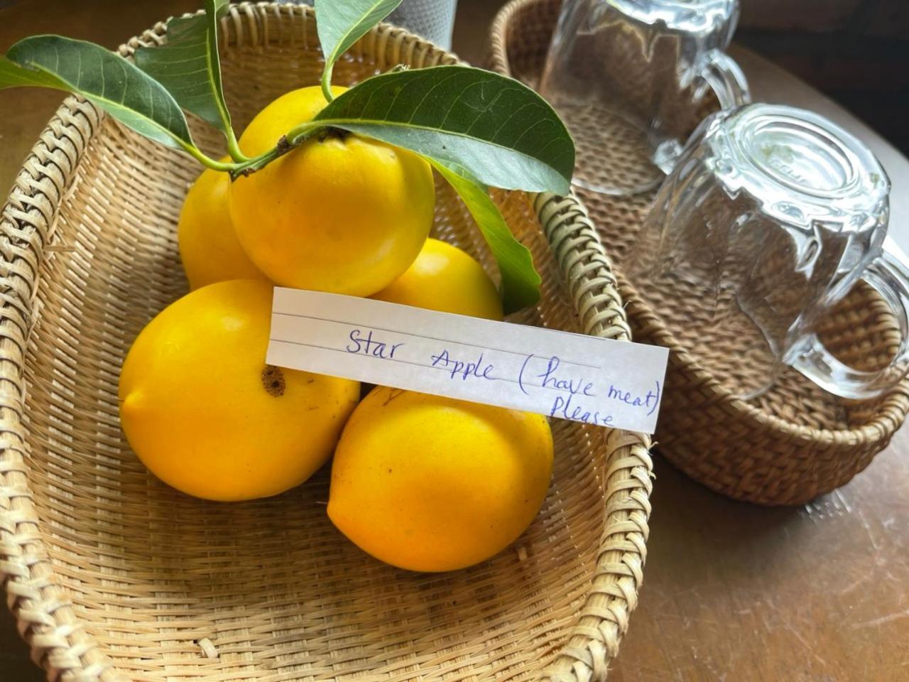 הוילה באו לוק Tea Garden House מראה חיצוני תמונה