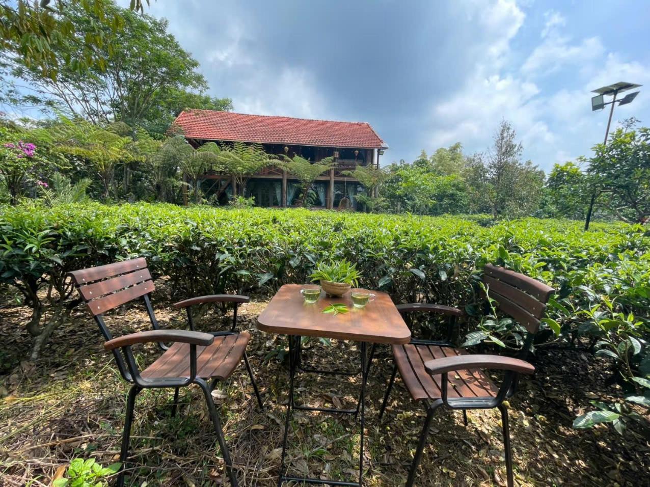 הוילה באו לוק Tea Garden House מראה חיצוני תמונה
